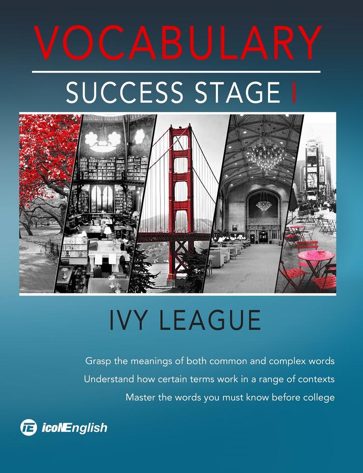 Vocabulary Success Stage I